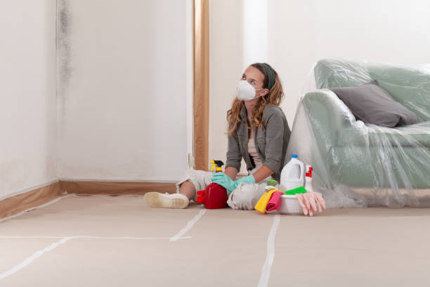 Reliable Mold Remediation contractor in Grand Haven, MI by 24 Hour Mold Removal